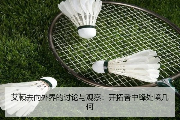 ai-dun-qu-xiang-wai-jie-de-tao-lun-yu-guan-cha-kai-tuo-zhe-zhong-feng-chu-jing-ji-he-2-305.jpg